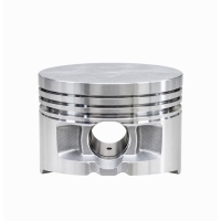 Piston for a 2-cylinder generator KDE12 (1)
